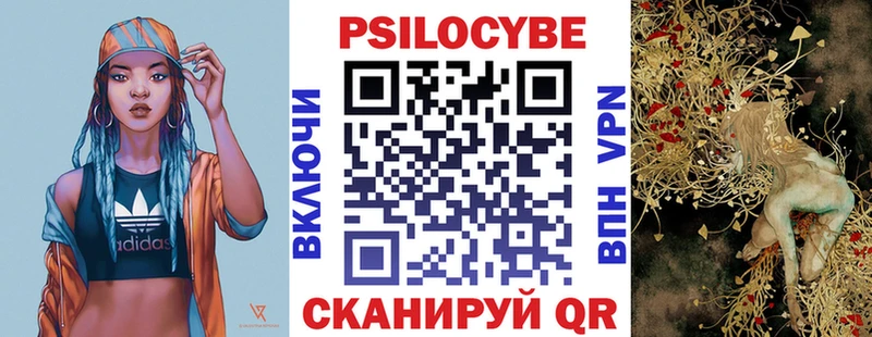 закладки  kraken онион  Галлюциногенные грибы мицелий  Новосибирск 