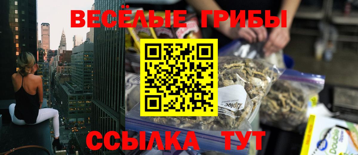 Новосибирск  Галлюциногенные грибы Psilocybine cubensis  Вход с VPN  Псилоцибиновые грибы Cubensis 